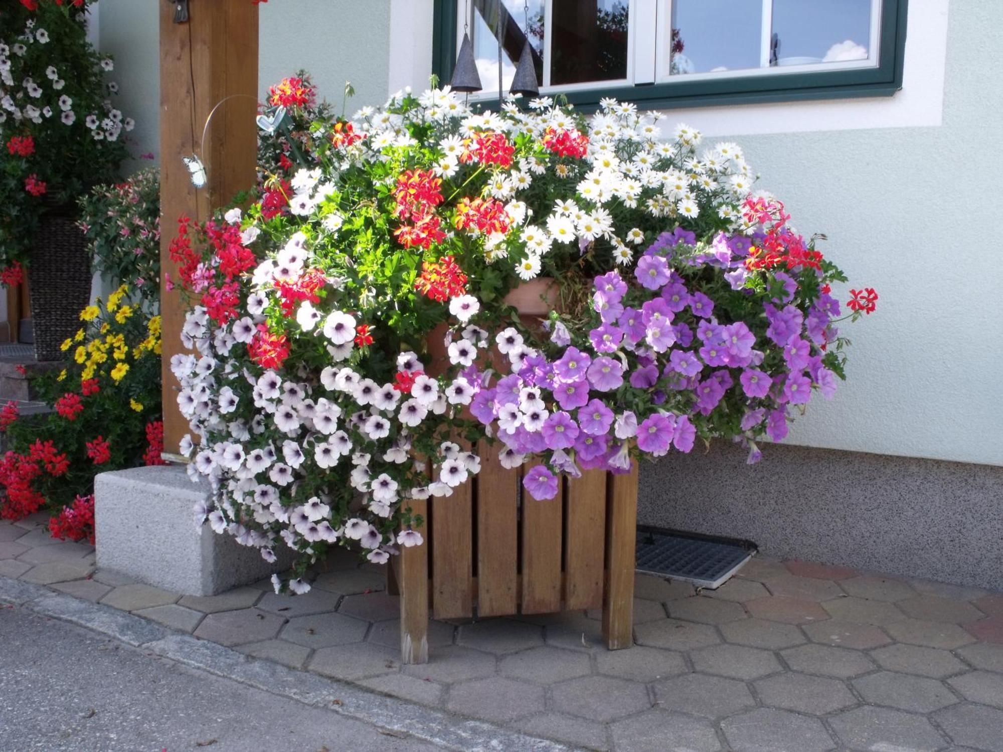 Appartements Bacherhof Шладминг Екстериор снимка